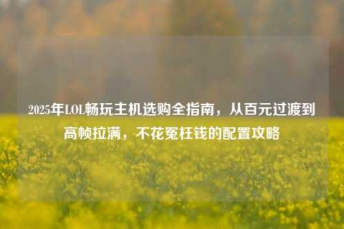 2025年LOL畅玩主机选购全指南,从百元过渡到高帧拉满,不花冤枉钱的配置攻略