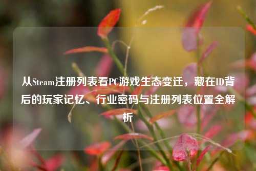 从Steam注册列表看PC游戏生态变迁,藏在ID背后的玩家记忆、行业密码与注册列表位置全解析