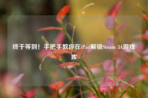 终于等到!手把手教你在iPad解锁Steam 3A游戏库