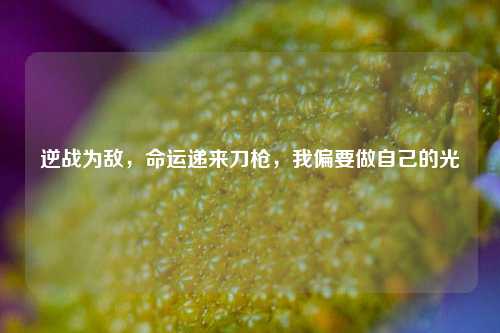 逆战为敌，命运递来刀枪，我偏要做自己的光