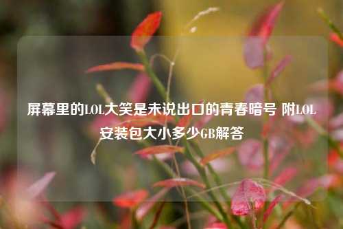 屏幕里的LOL大笑是未说出口的青春暗号 附LOL安装包大小多少GB解答