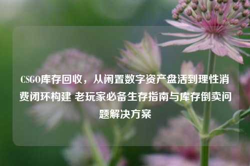 CSGO库存回收,从闲置数字资产盘活到理性消费闭环构建 老玩家必备生存指南与库存倒卖问题解决方案