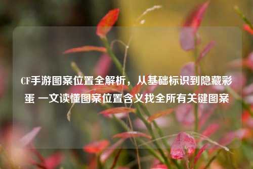 CF手游图案位置全解析,从基础标识到隐藏彩蛋 一文读懂图案位置含义找全所有关键图案