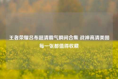 王者荣耀吕布超清霸气瞬间合集 战神高清美图每一张都值得收藏