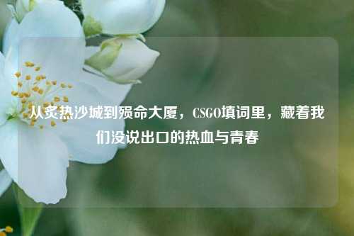 从炙热沙城到殒命大厦，CSGO填词里，藏着我们没说出口的热血与青春