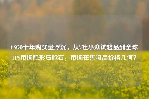 CSGO十年购买量浮沉，从V社小众试验品到全球FPS市场隐形压舱石，市场在售物品价格几何？