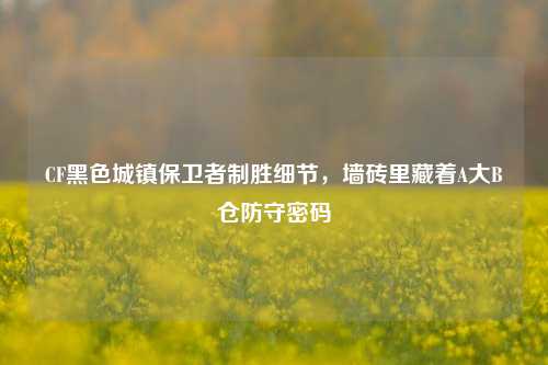 CF黑色城镇保卫者制胜细节,墙砖里藏着A大B仓防守密码