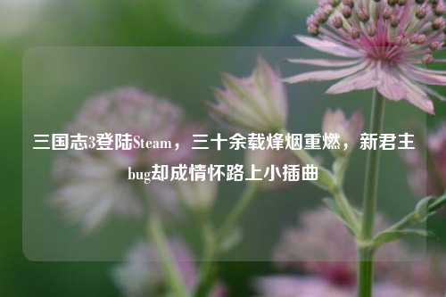 三国志3登陆Steam,三十余载烽烟重燃,新君主bug却成情怀路上小插曲
