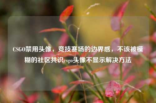 CSGO禁用头像,竞技赛场的边界感,不该被模糊的社区共识csgo头像不显示解决方法