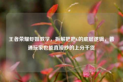 王者荣耀虾姐教学,拆解把把C的底层逻辑,普通玩家也能直接抄的上分干货