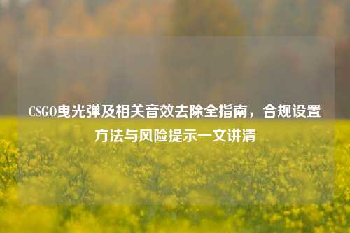 CSGO曳光弹及相关音效去除全指南,合规设置方法与风险提示一文讲清