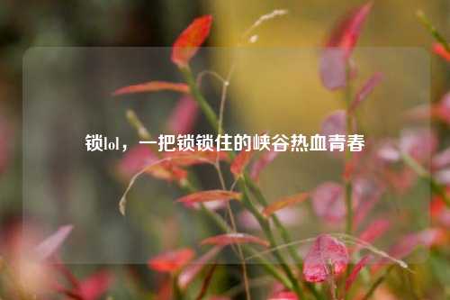锁lol，一把锁锁住的峡谷热血青春