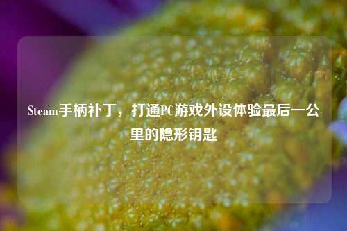 Steam手柄补丁,打通PC游戏外设体验最后一公里的隐形钥匙