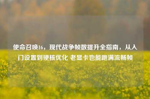 使命召唤16,现代战争帧数提升全指南,从入门设置到硬核优化 老显卡也能跑满流畅帧