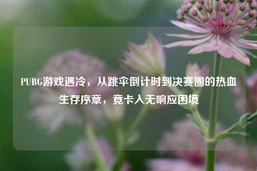 PUBG游戏遇冷,从跳伞倒计时到决赛圈的热血生存序章,竟卡入无响应困境