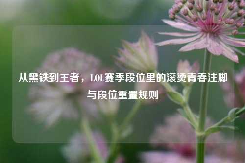 从黑铁到王者，LOL赛季段位里的滚烫青春注脚与段位重置规则