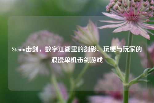 Steam击剑,数字江湖里的剑影、玩梗与玩家的浪漫单机击剑游戏
