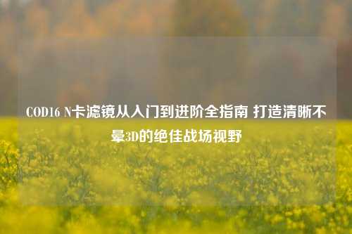 COD16 N卡滤镜从入门到进阶全指南 打造清晰不晕3D的绝佳战场视野