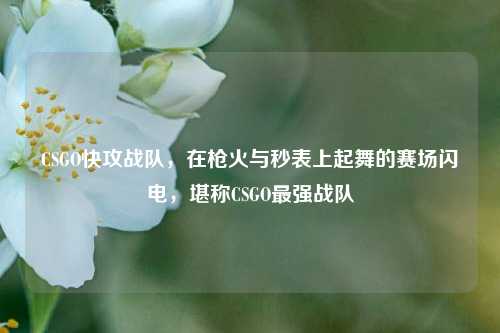 CSGO快攻战队,在枪火与秒表上起舞的赛场闪电,堪称CSGO最强战队