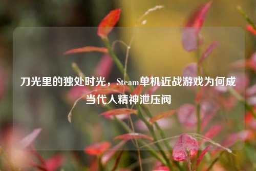 刀光里的独处时光,Steam单机近战游戏为何成当代人精神泄压阀