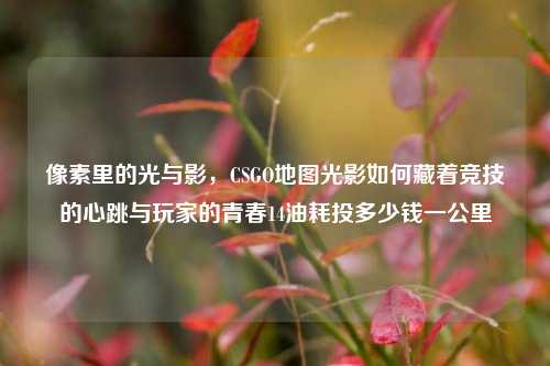 像素里的光与影,CSGO地图光影如何藏着竞技的心跳与玩家的青春14油耗投多少钱一公里