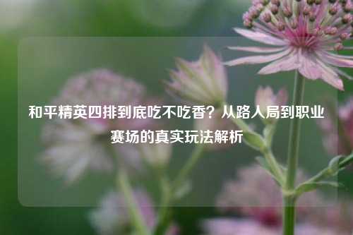 和平精英四排到底吃不吃香?从路人局到职业赛场的真实玩法解析