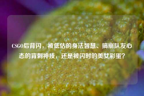 CSGO后背闪,被低估的身法智慧、搞崩队友心态的背刺神技,还是被闪时的美女彩蛋?