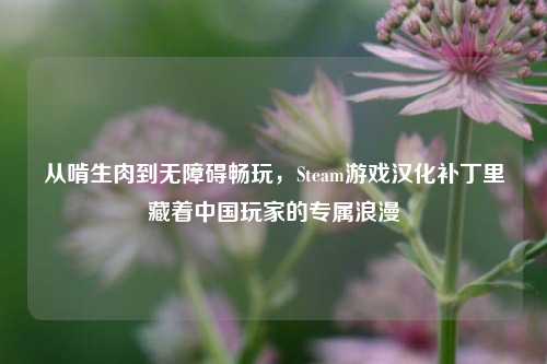 从啃生肉到无障碍畅玩,Steam游戏汉化补丁里藏着中国玩家的专属浪漫