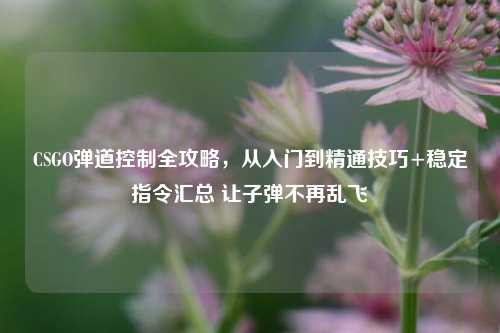 CSGO弹道控制全攻略,从入门到精通技巧+稳定指令汇总 让子弹不再乱飞