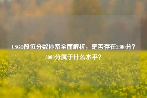CSGO段位分数体系全面解析,是否存在3300分?3000分属于什么水平?