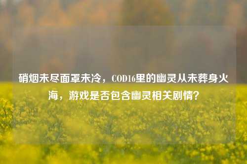 硝烟未尽面罩未冷，COD16里的幽灵从未葬身火海，游戏是否包含幽灵相关剧情？