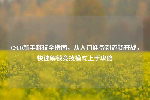 CSGO新手游玩全指南,从入门准备到流畅开战,快速解锁竞技模式上手攻略