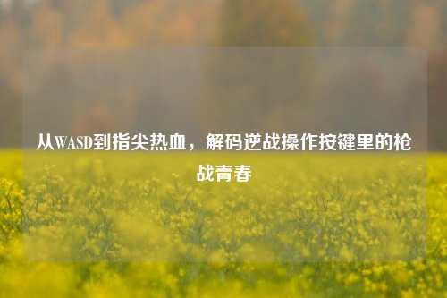 从WASD到指尖热血,解码逆战操作按键里的枪战青春