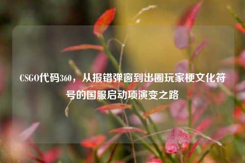 CSGO代码360，从报错弹窗到出圈玩家梗文化符号的国服启动项演变之路
