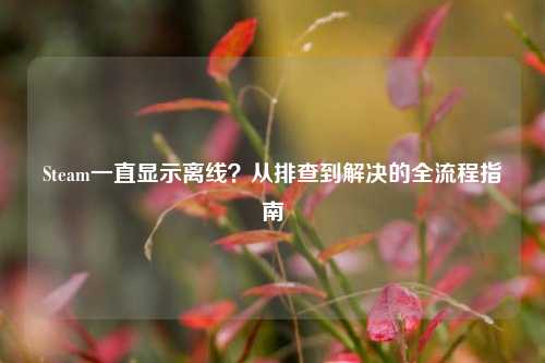 Steam一直显示离线？从排查到解决的全流程指南