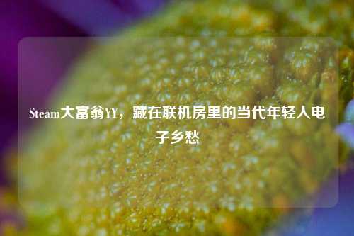 Steam大富翁YY,藏在联机房里的当代年轻人电子乡愁