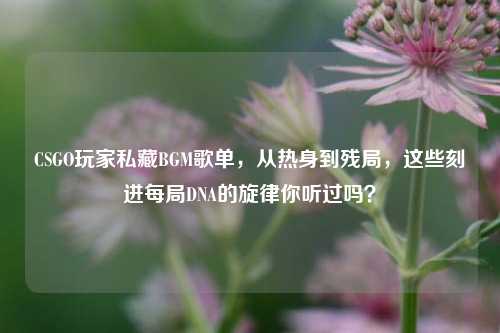 CSGO玩家私藏BGM歌单,从热身到残局,这些刻进每局DNA的旋律你听过吗?