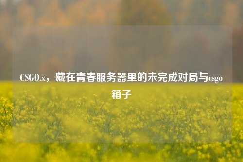 CSGO.x，藏在青春服务器里的未完成对局与csgo箱子