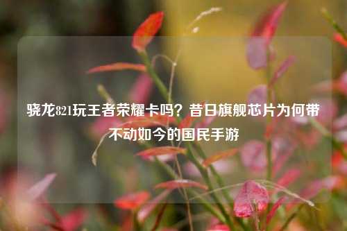 骁龙821玩王者荣耀卡吗？昔日旗舰芯片为何带不动如今的国民手游