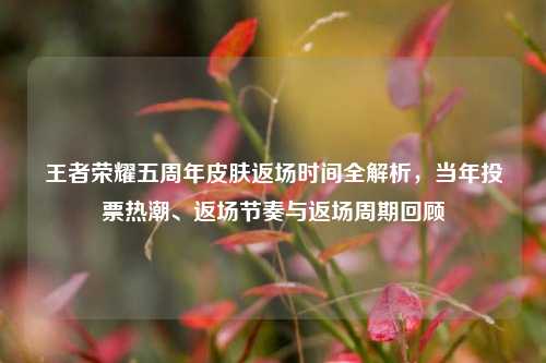 王者荣耀五周年皮肤返场时间全解析,当年投票热潮、返场节奏与返场周期回顾