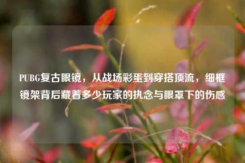 PUBG复古眼镜,从战场彩蛋到穿搭顶流,细框镜架背后藏着多少玩家的执念与眼罩下的伤感