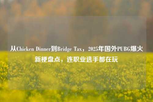 从Chicken Dinner到Bridge Tax，2025年国外PUBG爆火新梗盘点，连职业选手都在玩