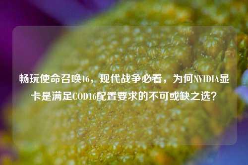 畅玩使命召唤16，现代战争必看，为何NVIDIA显卡是满足COD16配置要求的不可或缺之选？