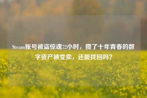 Steam账号被盗惊魂72小时，攒了十年青春的数字资产被变卖，还能找回吗？