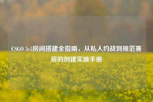 CSGO 5v5房间搭建全指南,从私人约战到规范赛房的创建实操手册