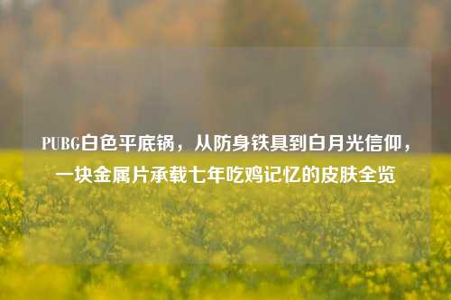 PUBG白色平底锅，从防身铁具到白月光信仰，一块金属片承载七年吃鸡记忆的皮肤全览