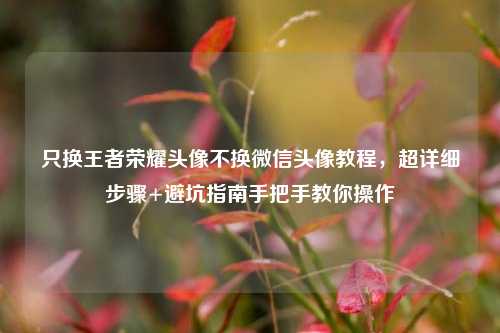 只换王者荣耀头像不换微信头像教程,超详细步骤+避坑指南手把手教你操作