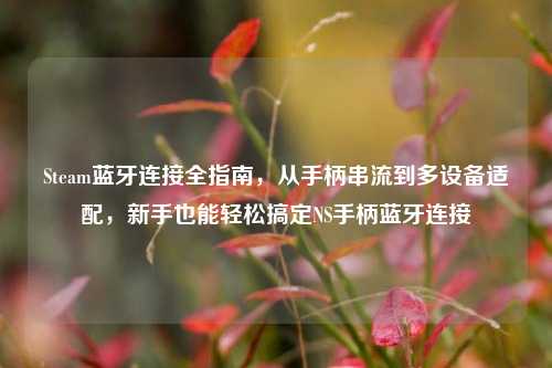 Steam蓝牙连接全指南，从手柄串流到多设备适配，新手也能轻松搞定NS手柄蓝牙连接