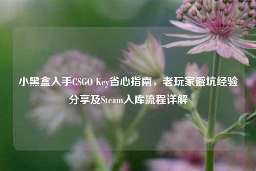 小黑盒入手CSGO Key省心指南，老玩家避坑经验分享及Steam入库流程详解