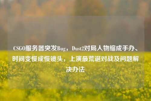 CSGO服务器突发Bug,Dust2对局人物缩成手办、时间变慢成慢镜头,上演最荒诞对战及问题解决办法